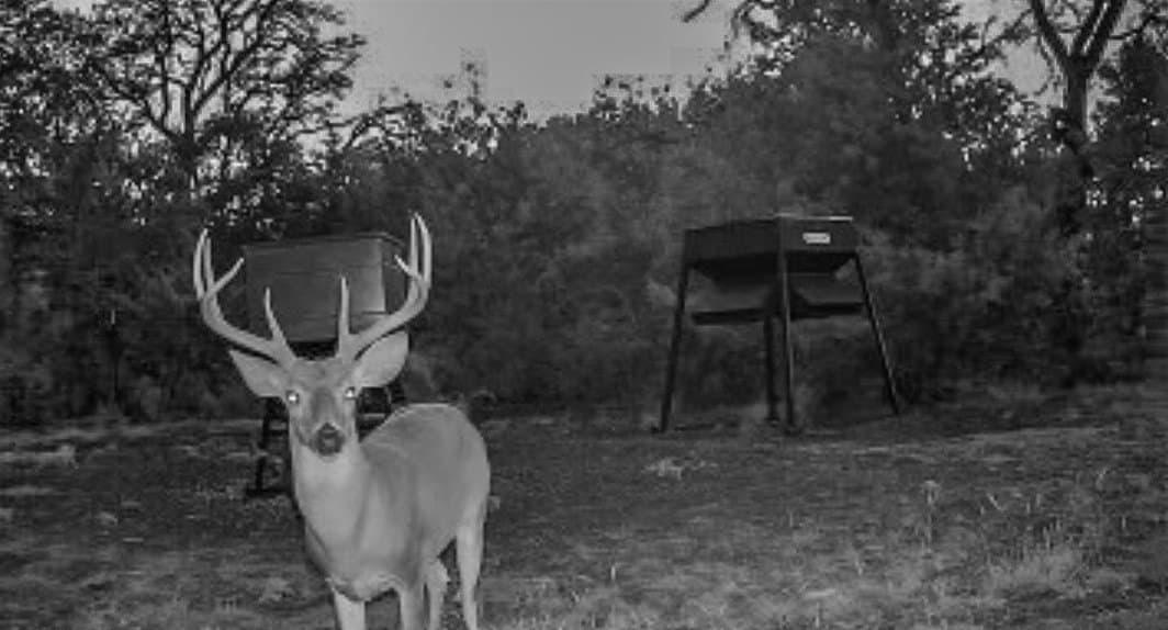 351.23 acres in Coryell County - photo 39