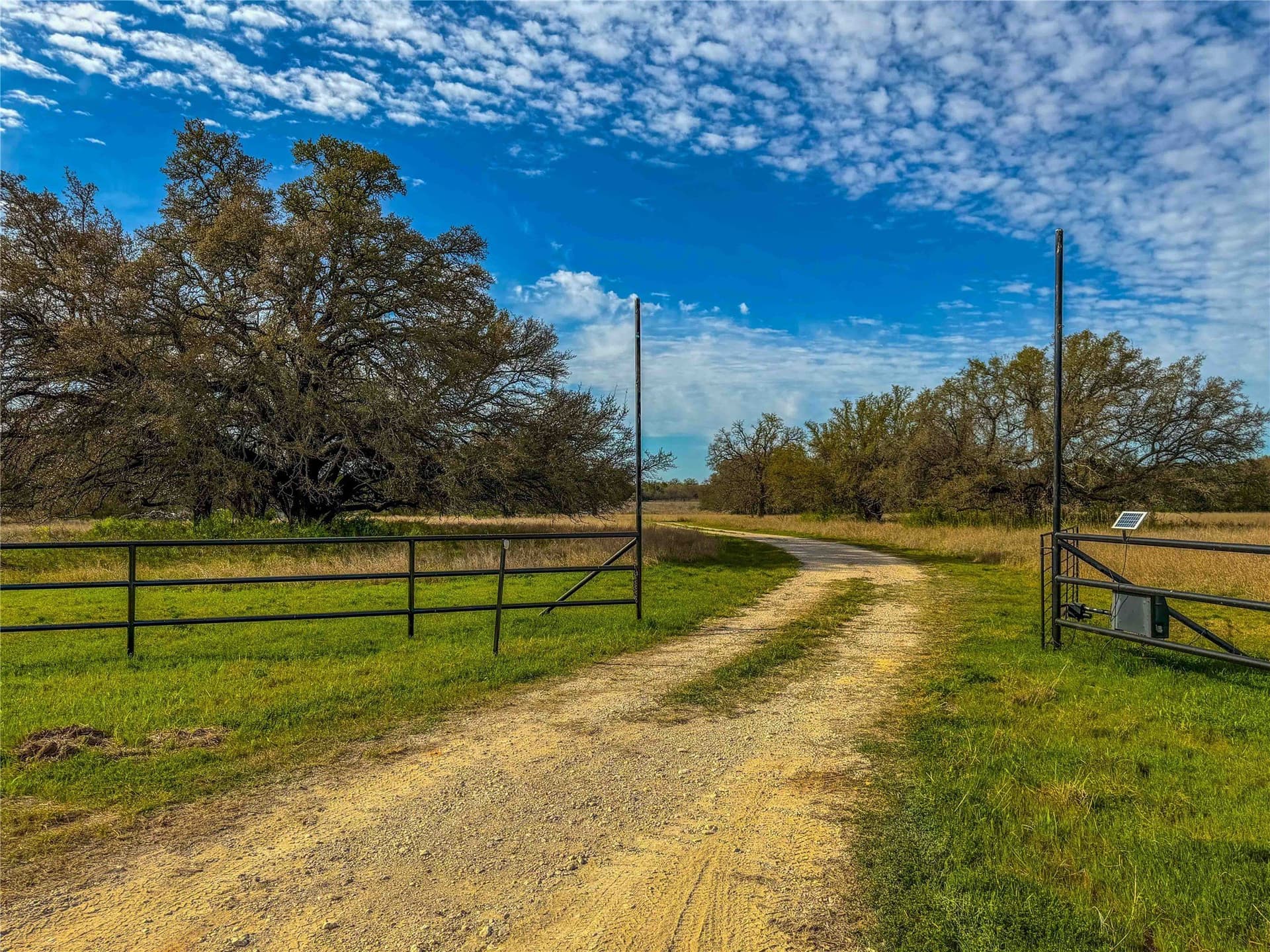 351.23 acres in Coryell County - photo 10