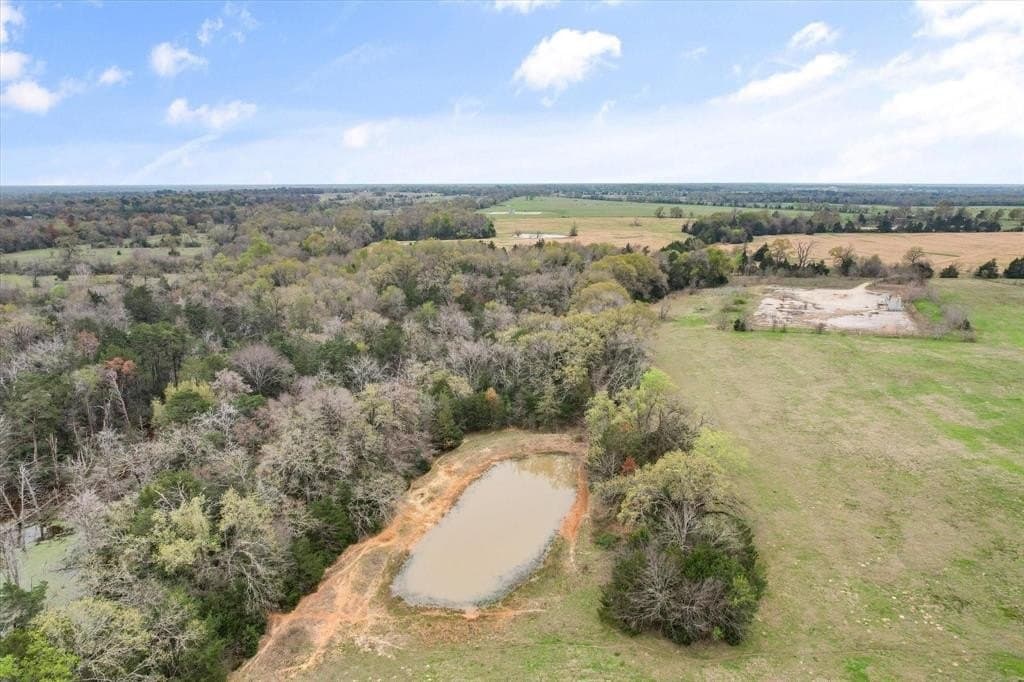 57.77 acres in Freestone County gallery image 2