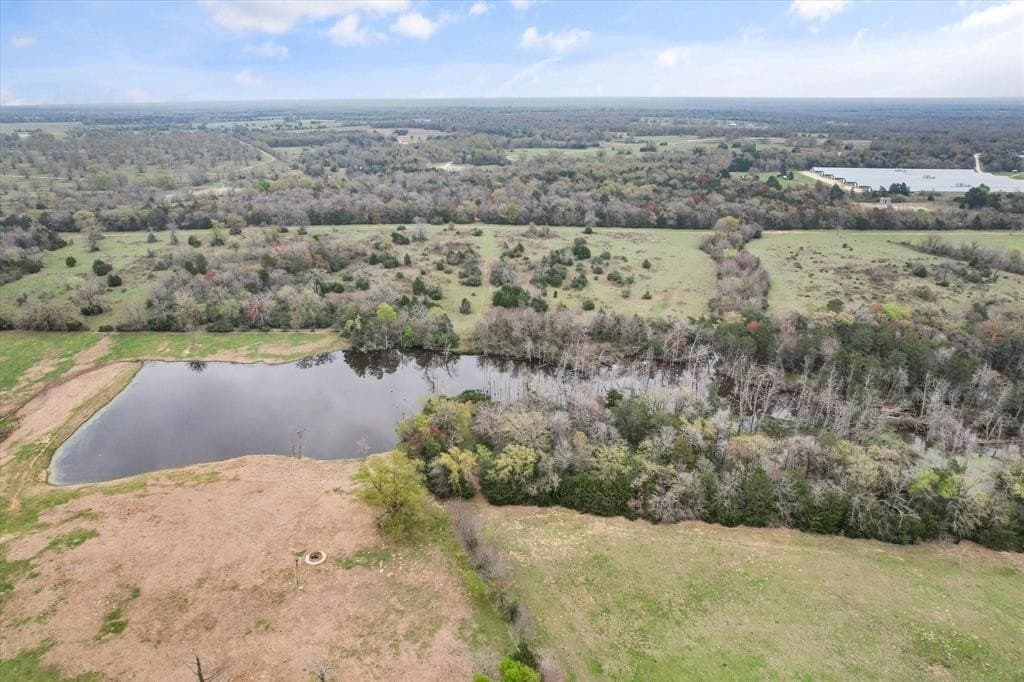 57.77 acres in Freestone County gallery image 3