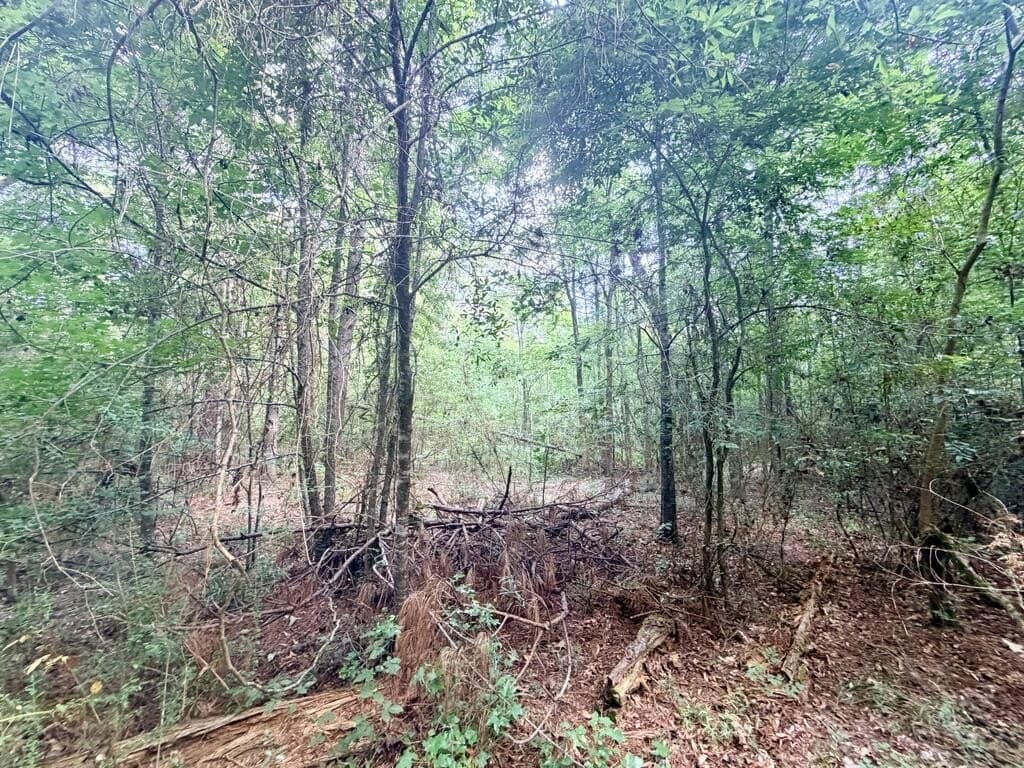 200 acres in Texas County - photo 15
