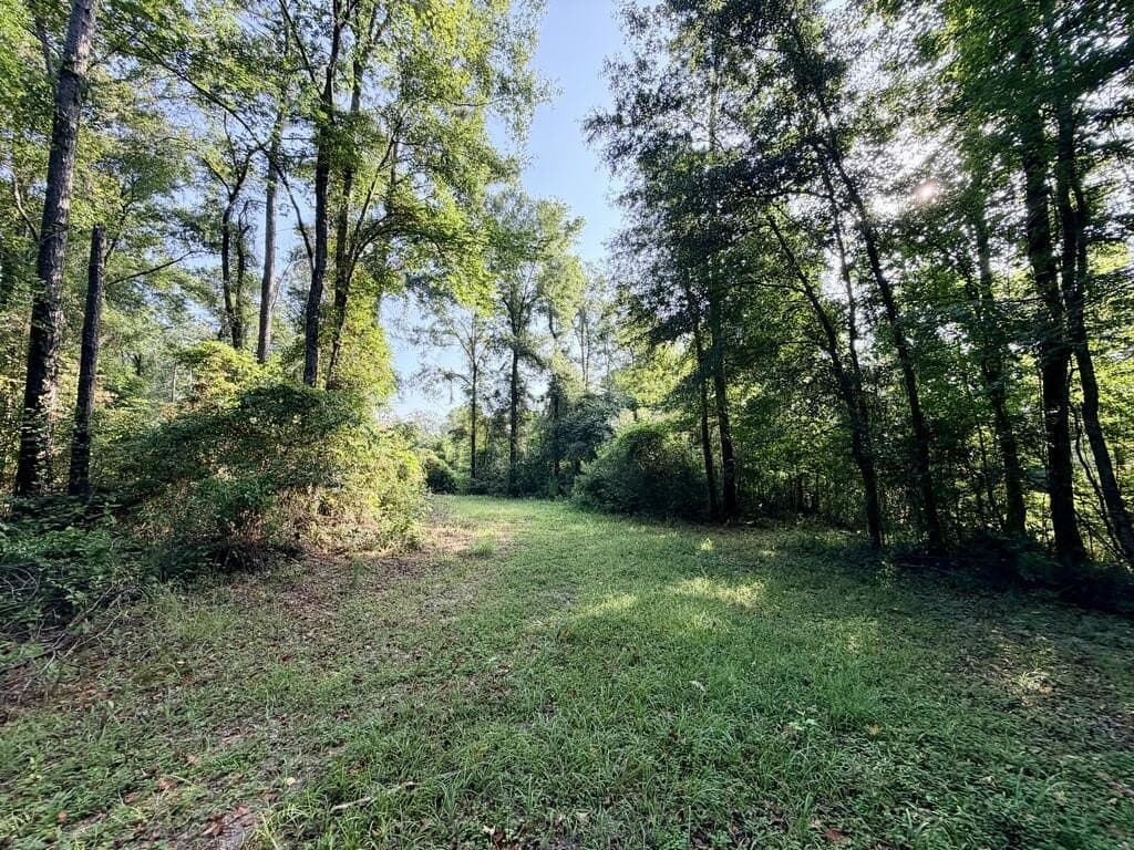 200 acres in Texas County - photo 41