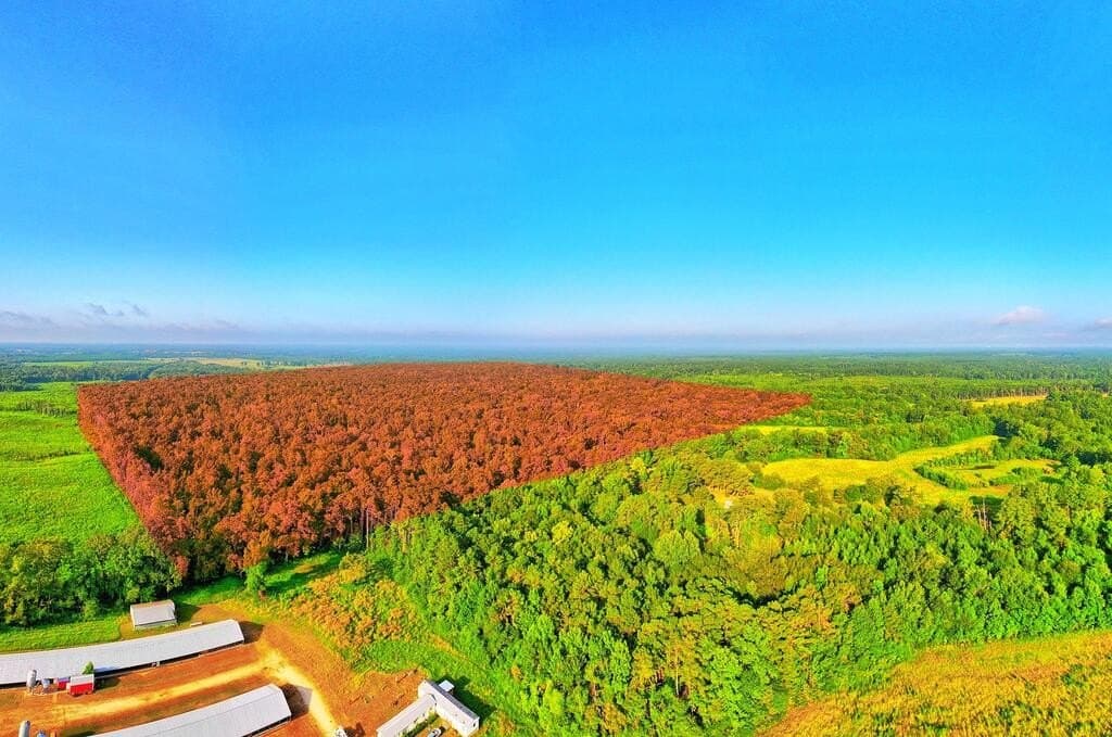 200 acres in Texas County - photo 10