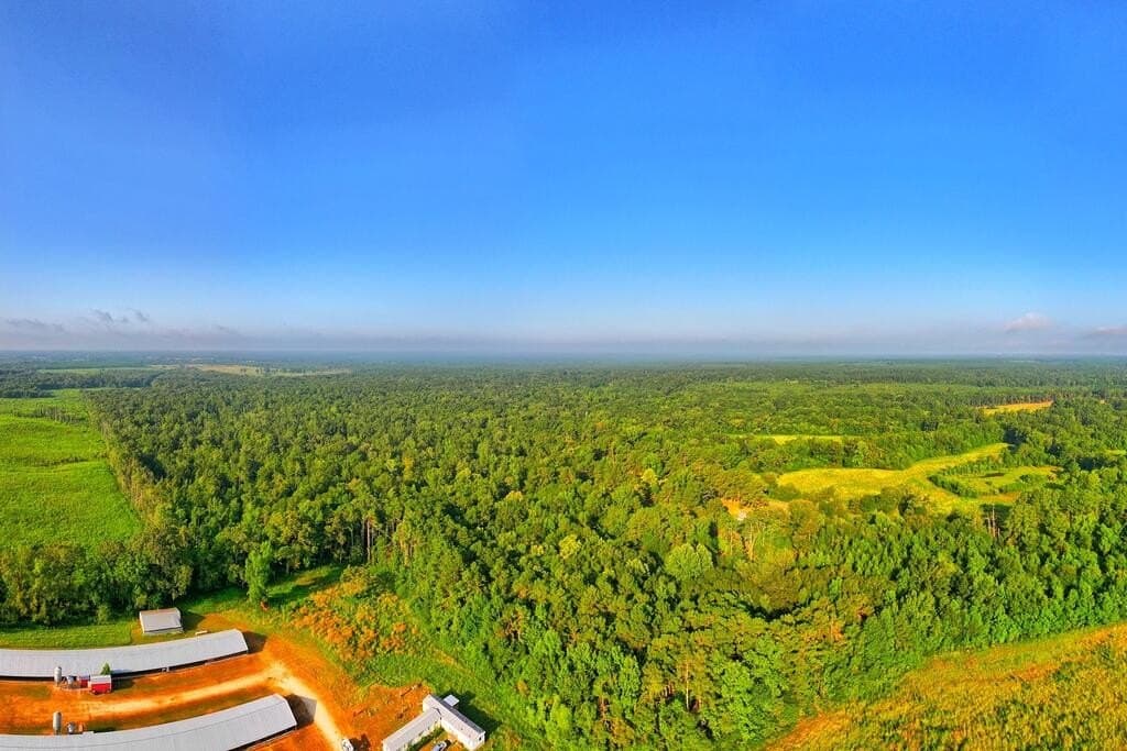 200 acres in Texas County - photo 9