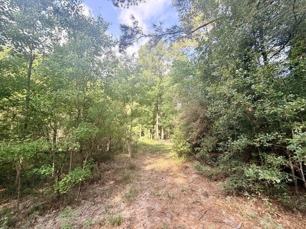 200 acres in Texas County - photo 5