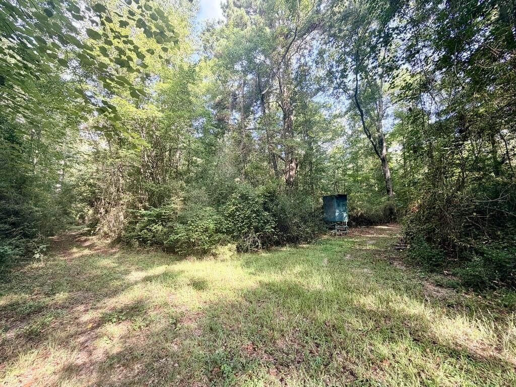 200 acres in Texas County - photo 19