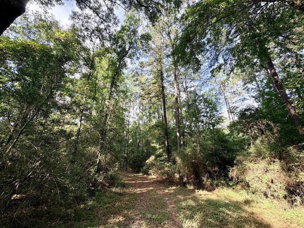 200 acres in Texas County - photo 31