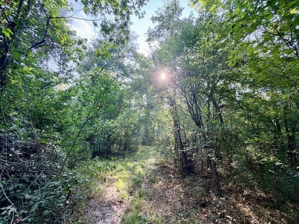 200 acres in Texas County - photo 37