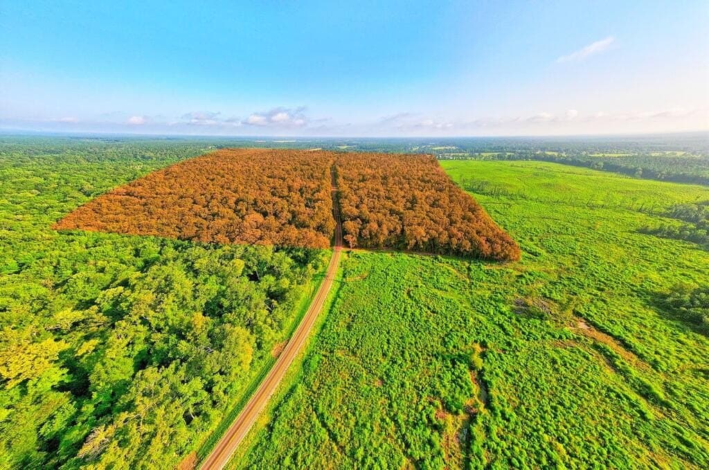 200 acres in Texas County - photo 14