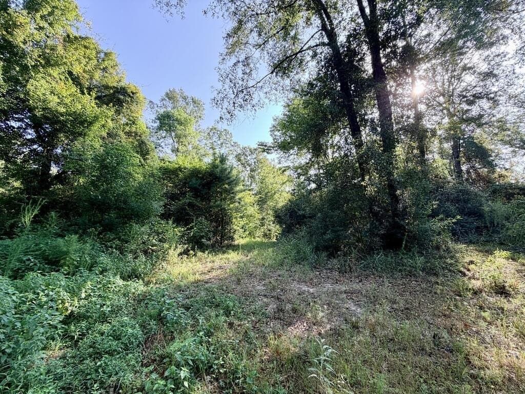 200 acres in Texas County - photo 39