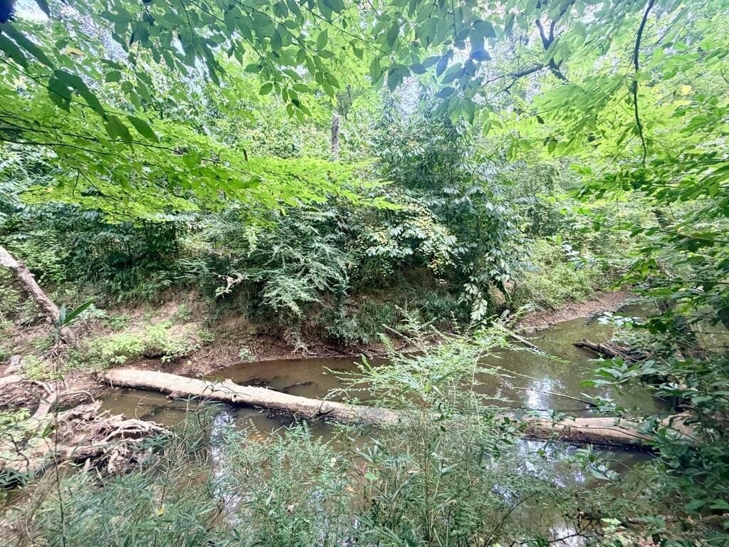 200 acres in Texas County - photo 3