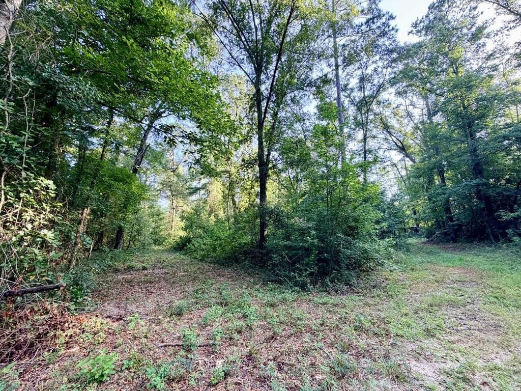200 acres in Texas County - photo 42