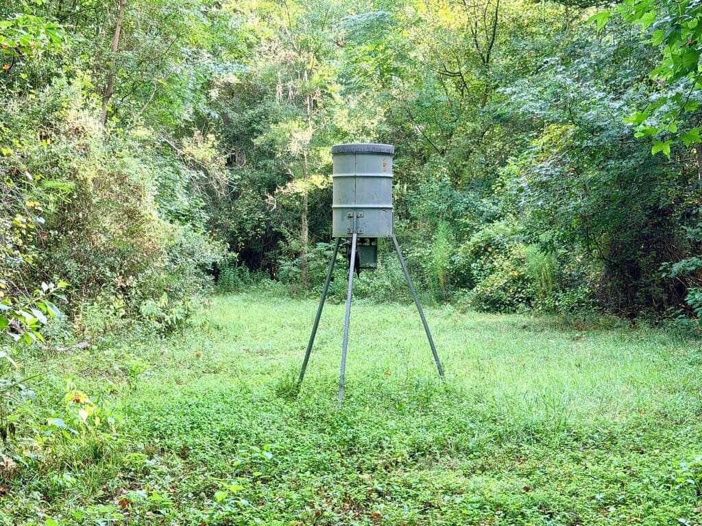 200 acres in Texas County - photo 16