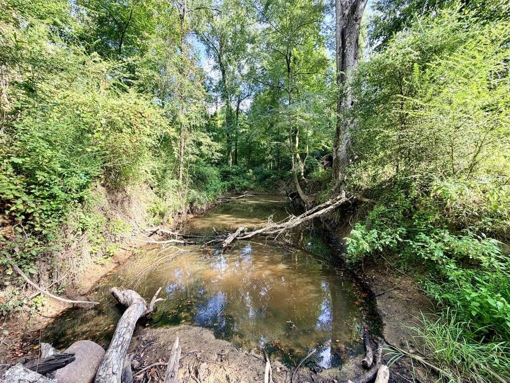 200 acres in Texas County - photo 29