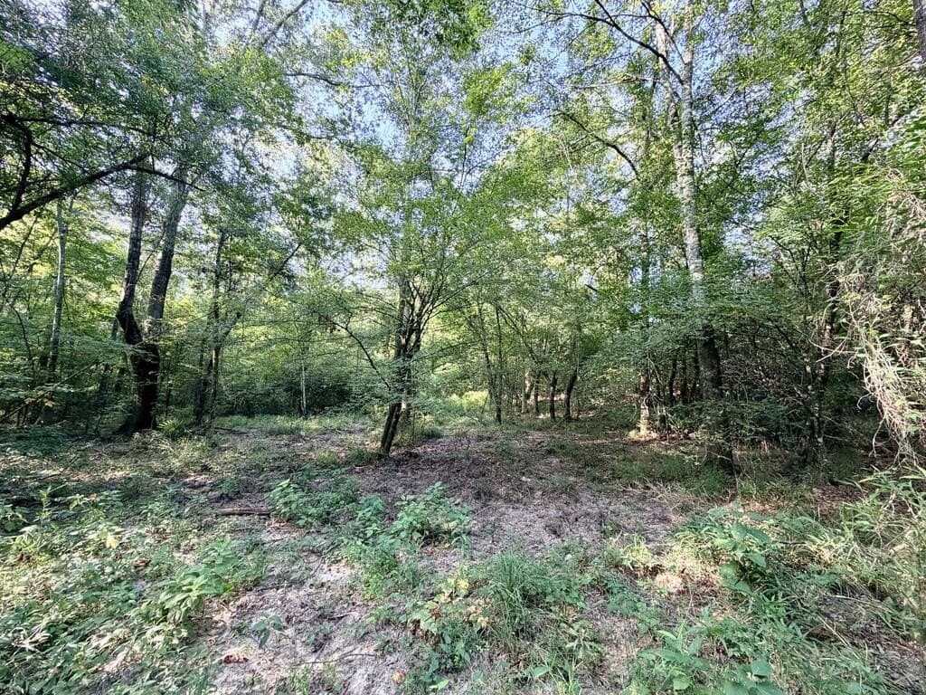 200 acres in Texas County - photo 36