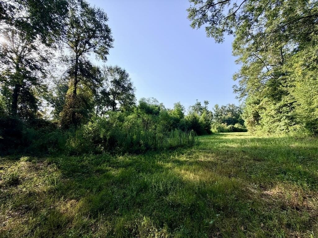200 acres in Texas County - photo 38