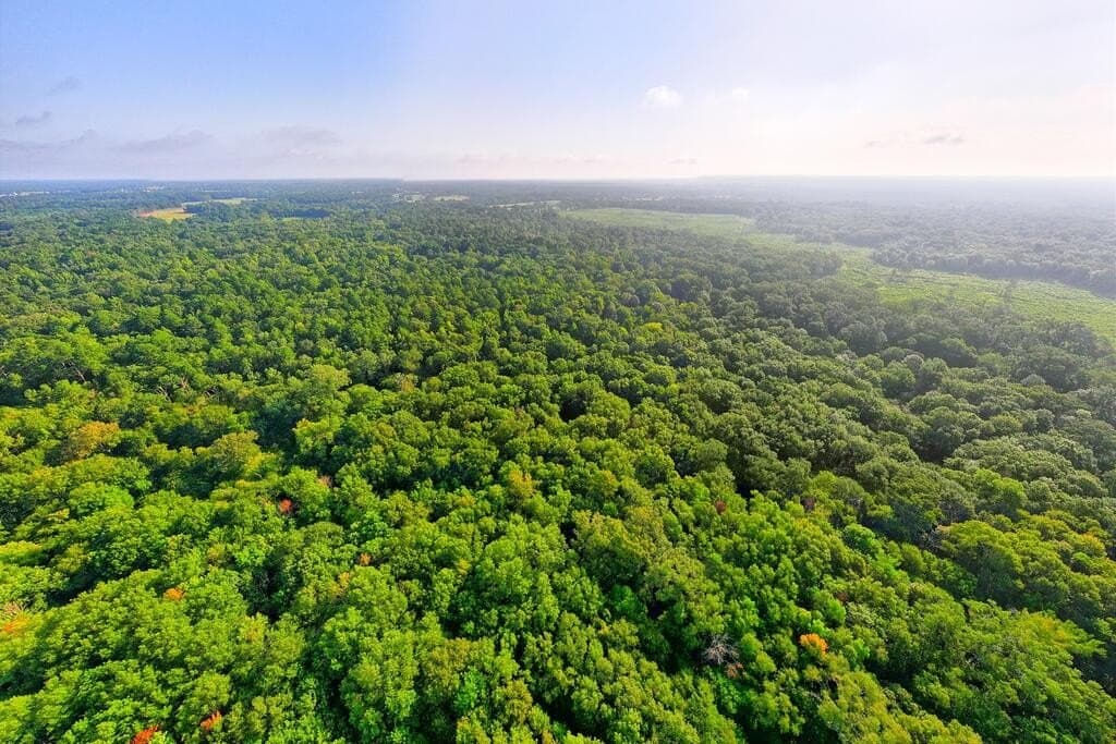 200 acres in Texas County - photo 25