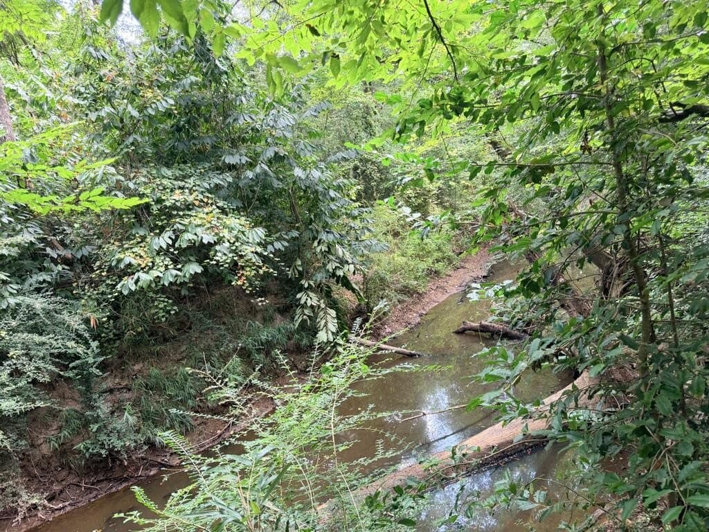 200 acres in Texas County - photo 4