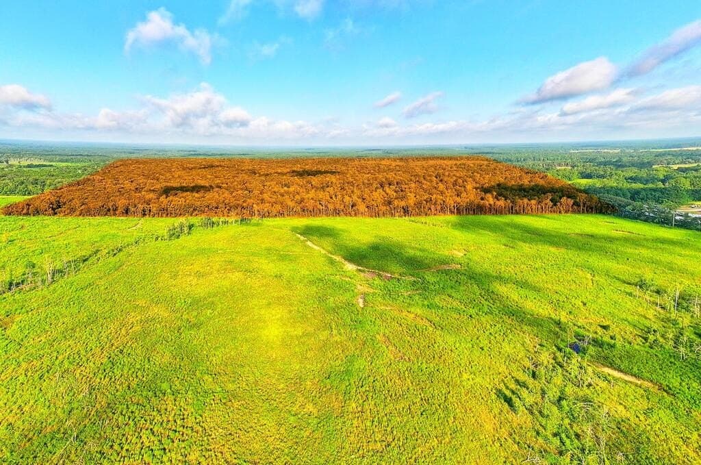 200 acres in Texas County - photo 12