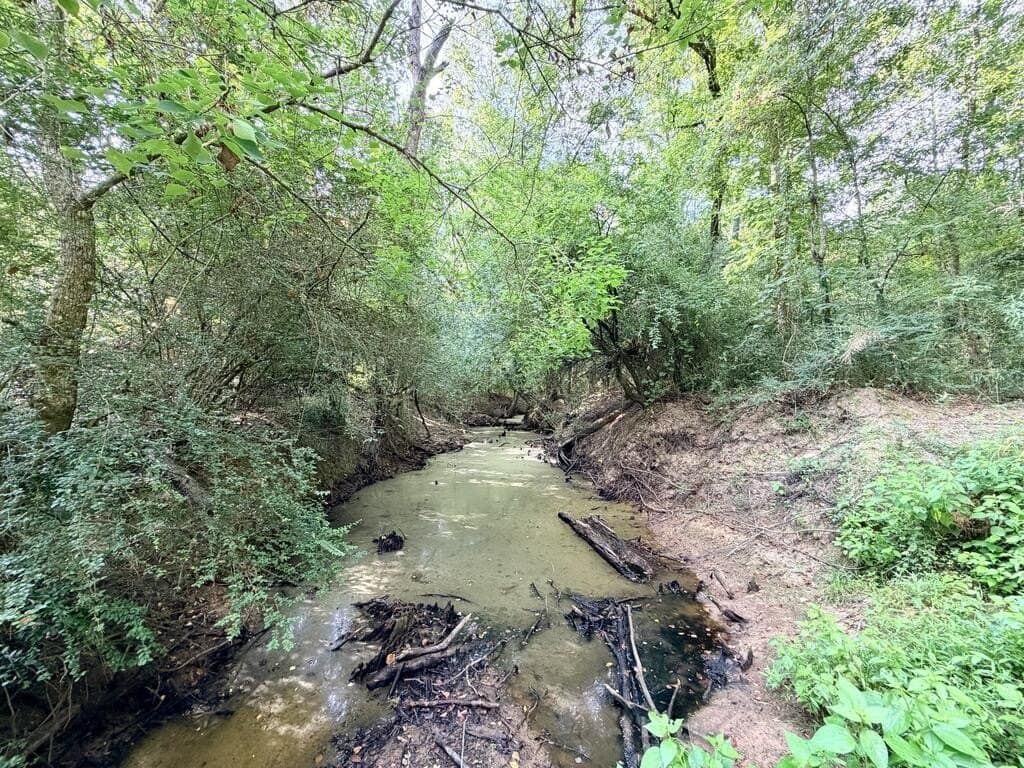 200 acres in Texas County - photo 28