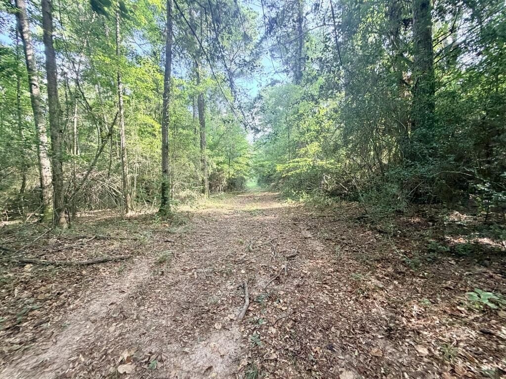 200 acres in Texas County - photo 18