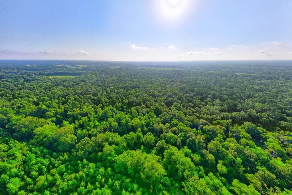 200 acres in Texas County - photo 26
