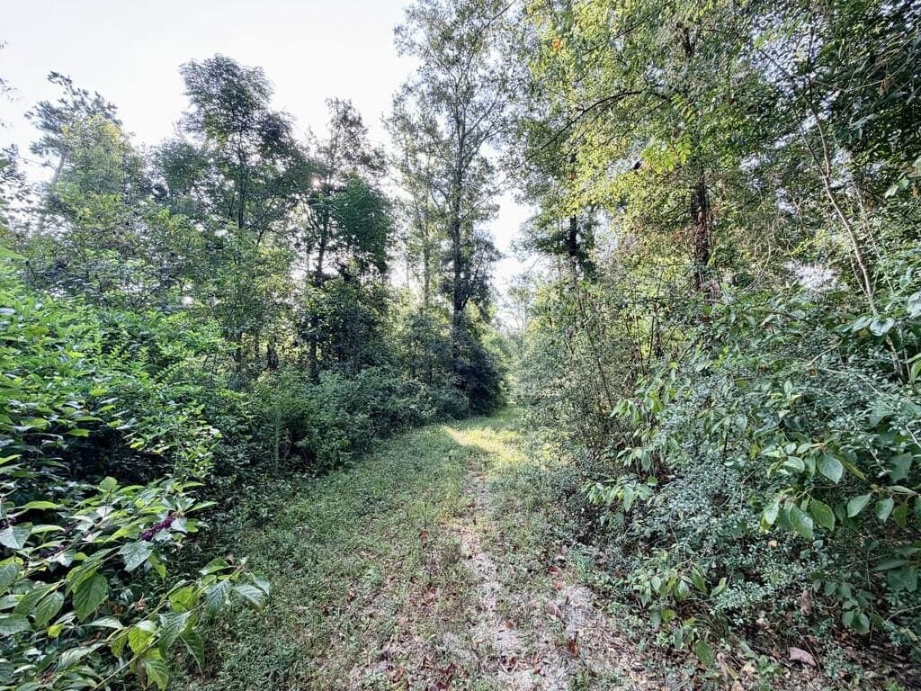 200 acres in Texas County - photo 40