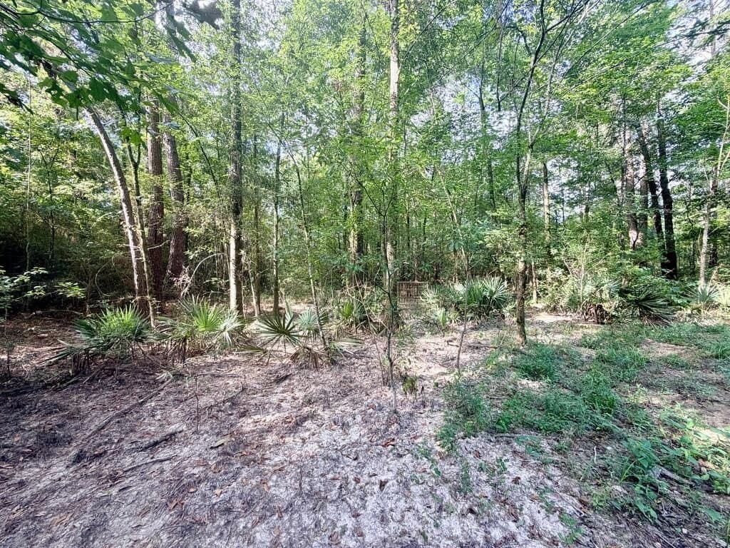 200 acres in Texas County - photo 8