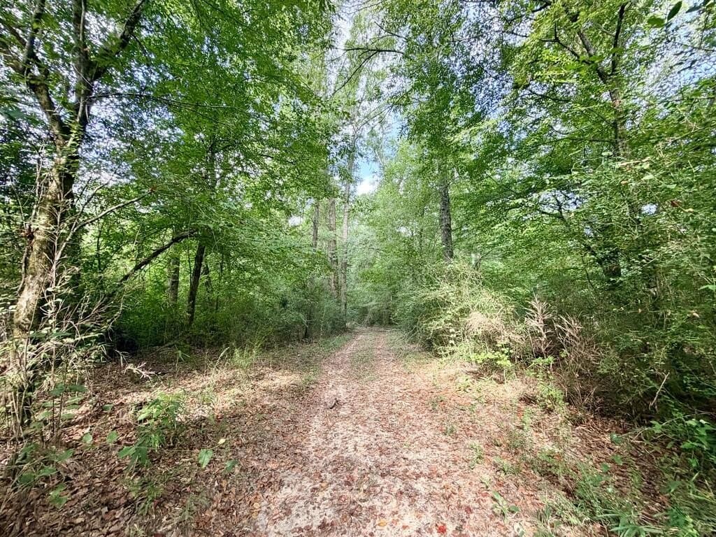 200 acres in Texas County - photo 27