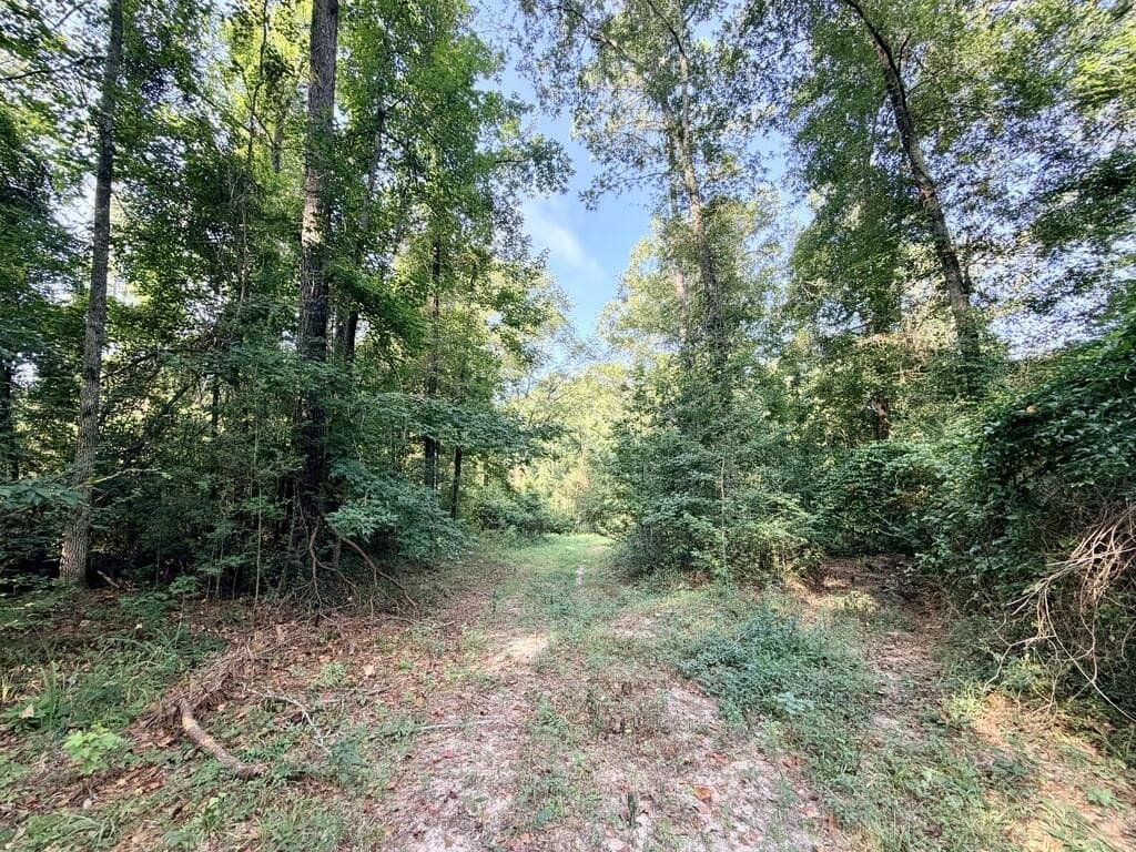 200 acres in Texas County - photo 33