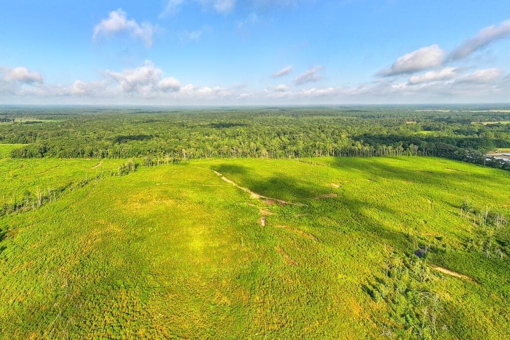 200 acres in Texas County - photo 11