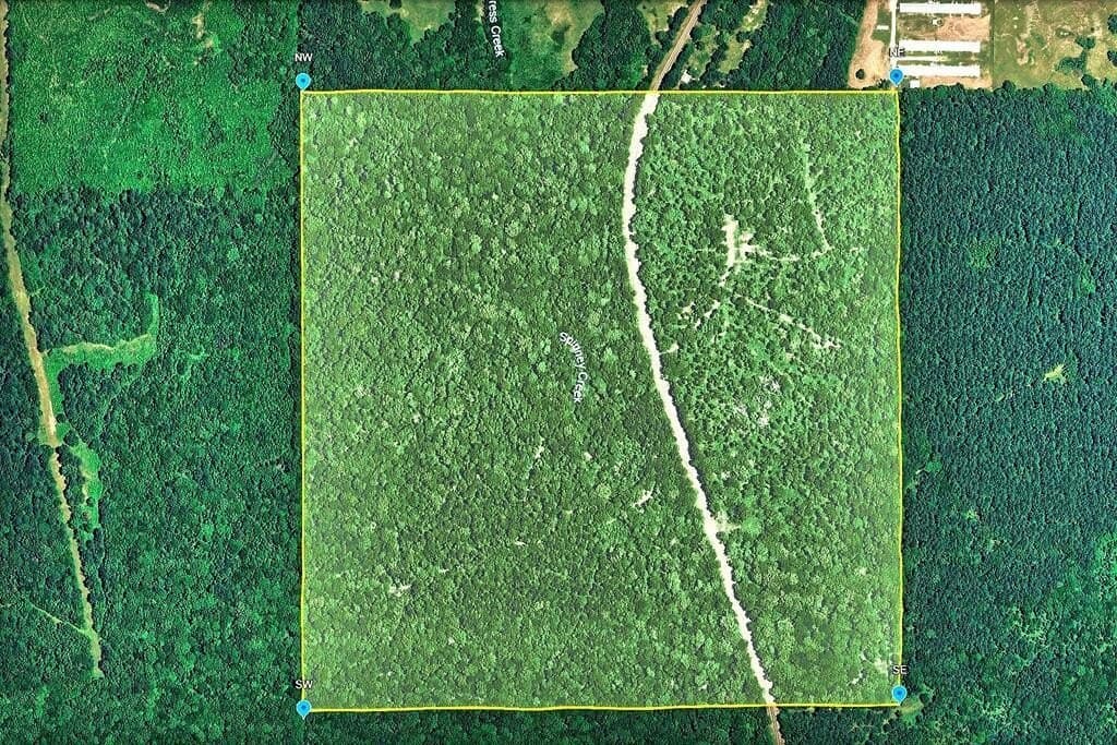 200 acres in Texas County - photo 2