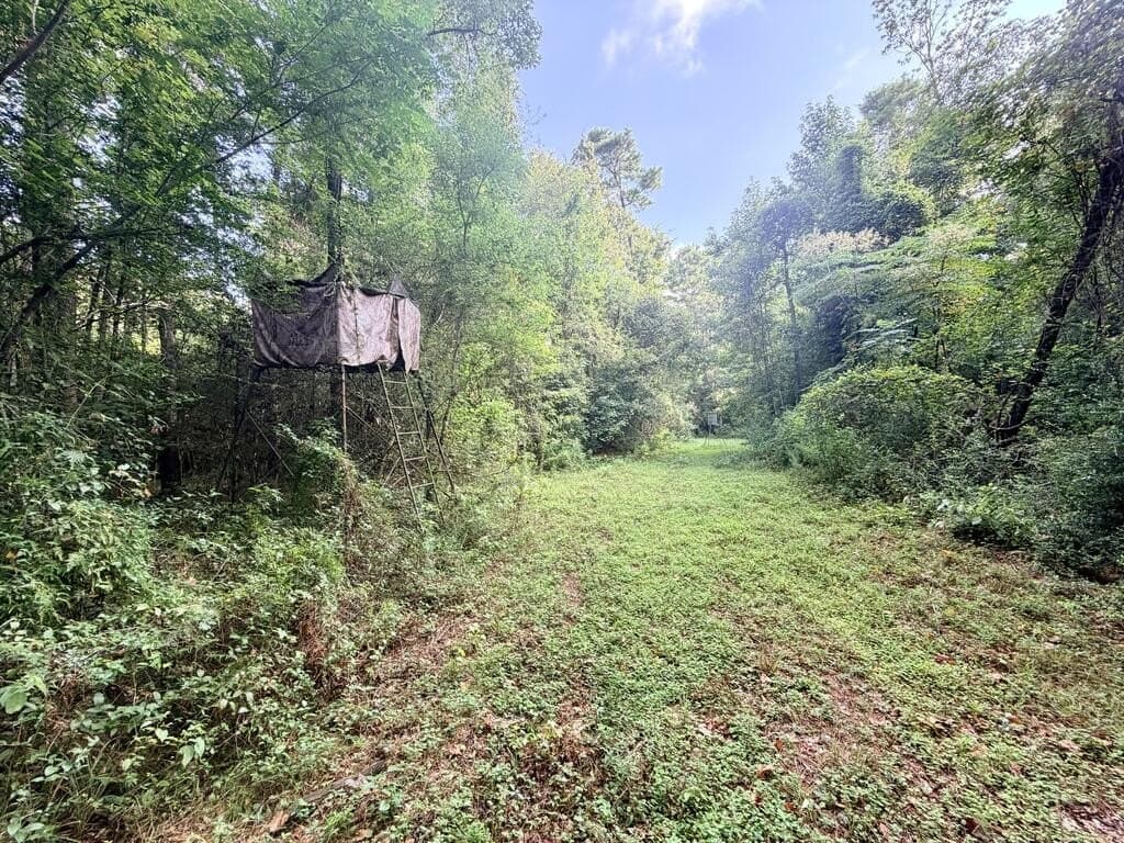 200 acres in Texas County - photo 17