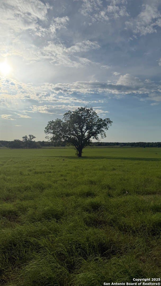 28.92 acres in Bexar County - photo 14