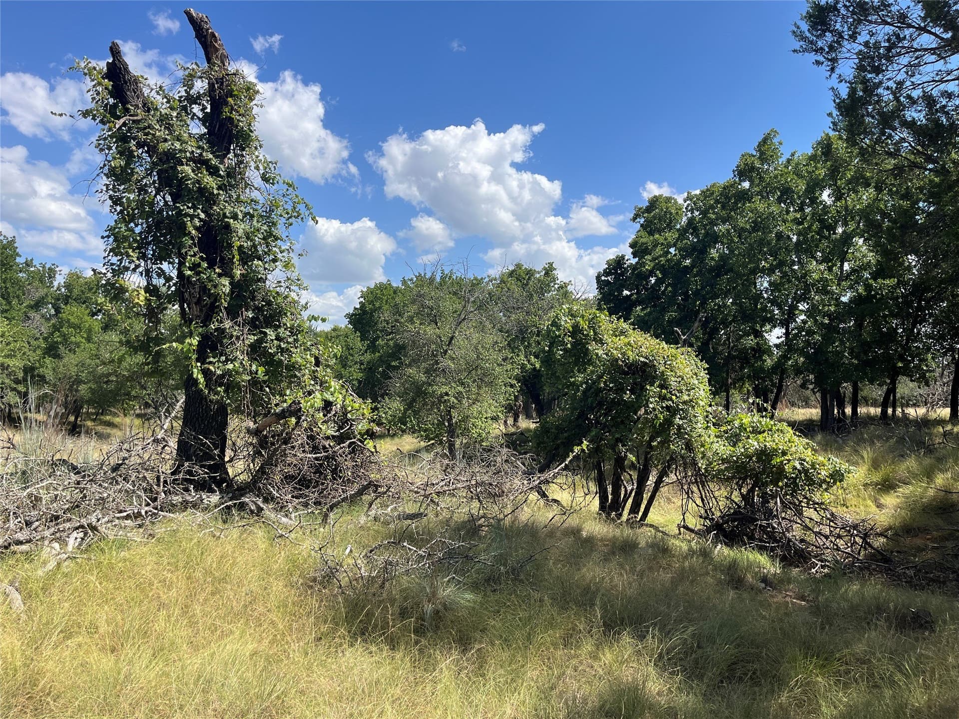 20.33 acres in Bosque County - photo 14