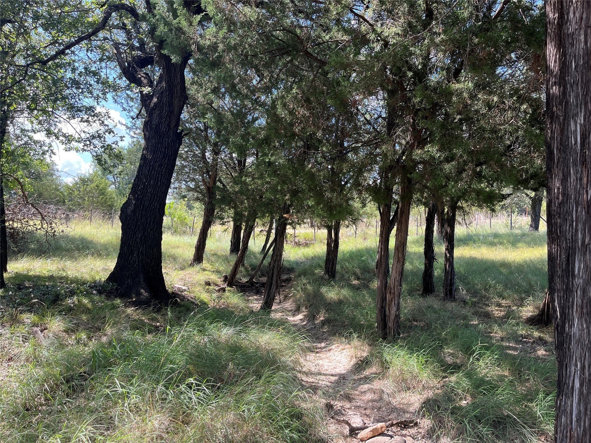 20.33 acres in Bosque County - photo 22