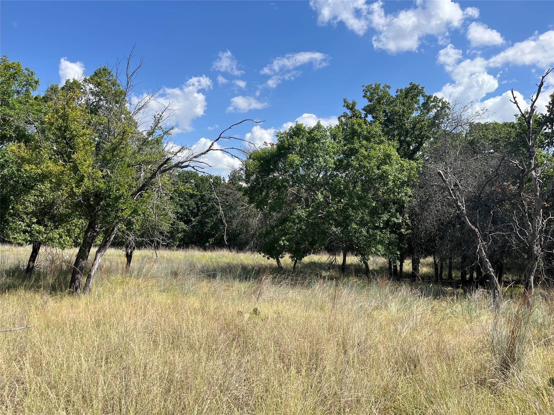 20.33 acres in Bosque County - photo 19