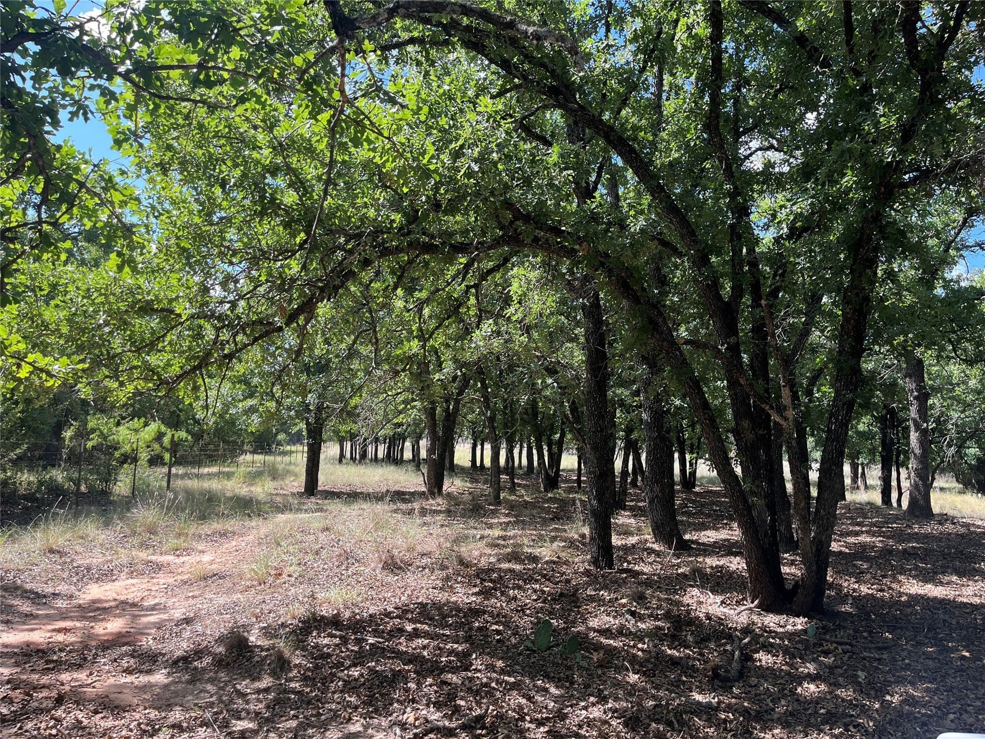20.33 acres in Bosque County - photo 21