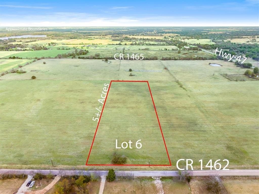5 acres in Rains County gallery image 2