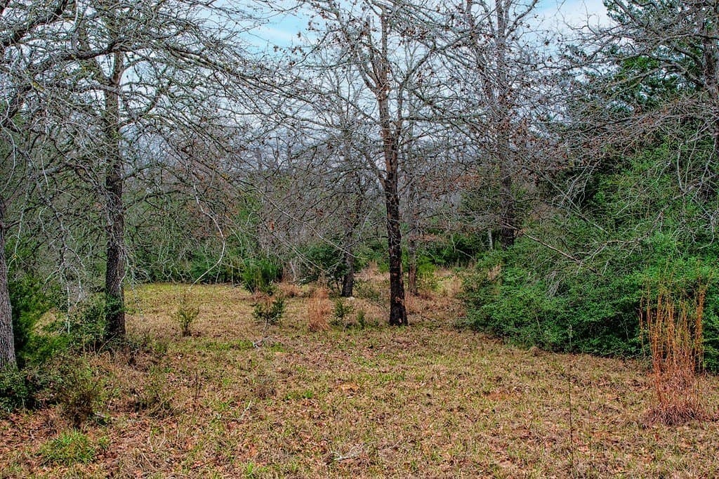10.1 acres in Fayette County - photo 23