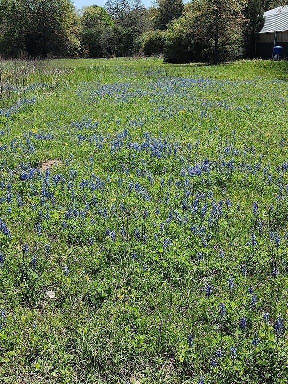 10.1 acres in Fayette County - photo 21