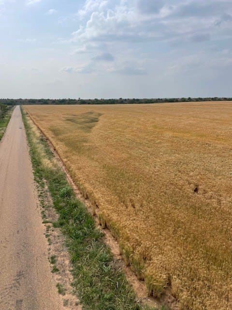 45 acres in Runnels County featured view