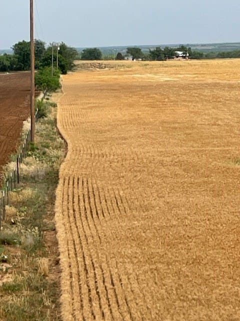 45 acres in Runnels County gallery image 3