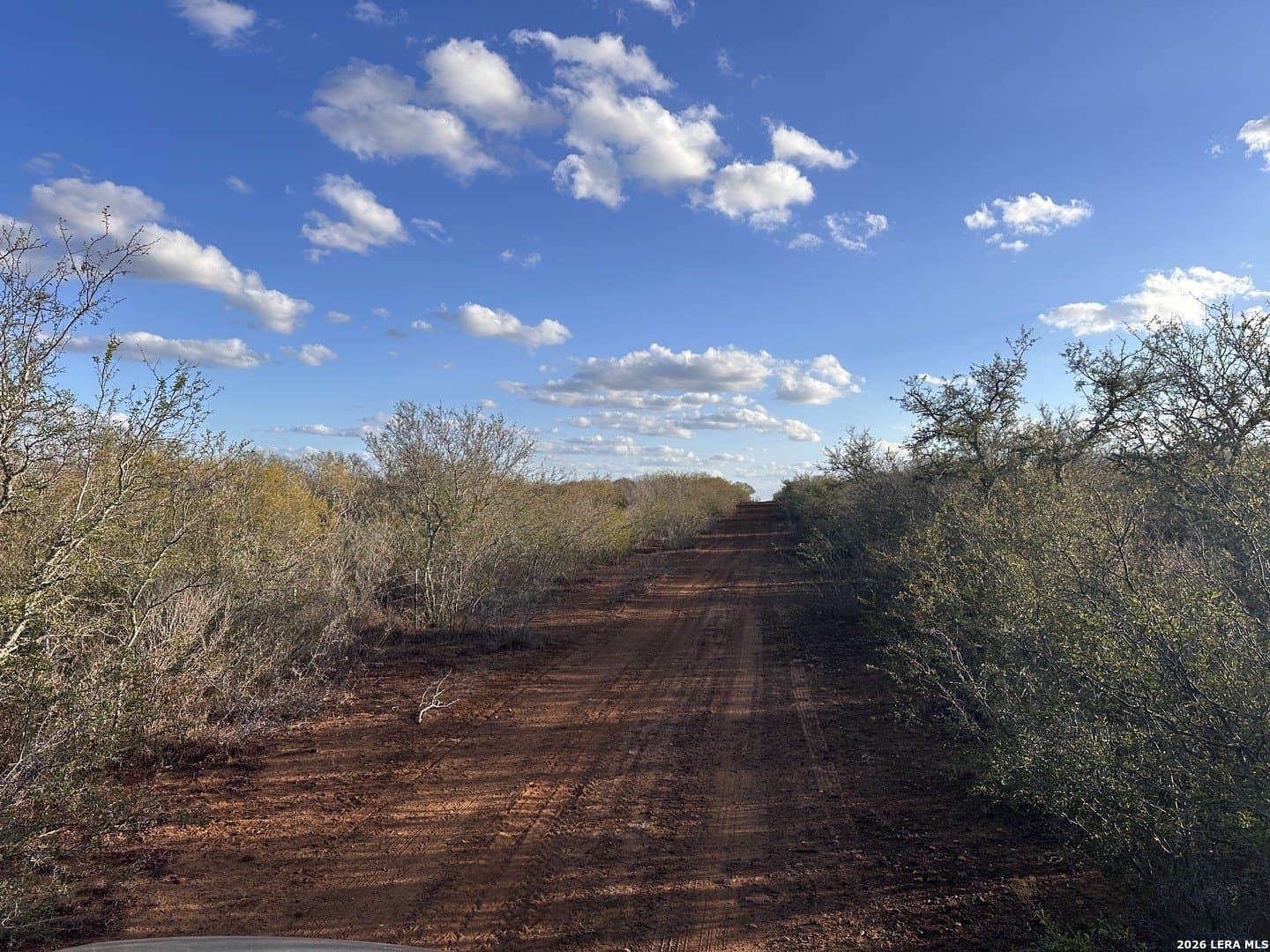 16.93 acres in Atascosa County featured view