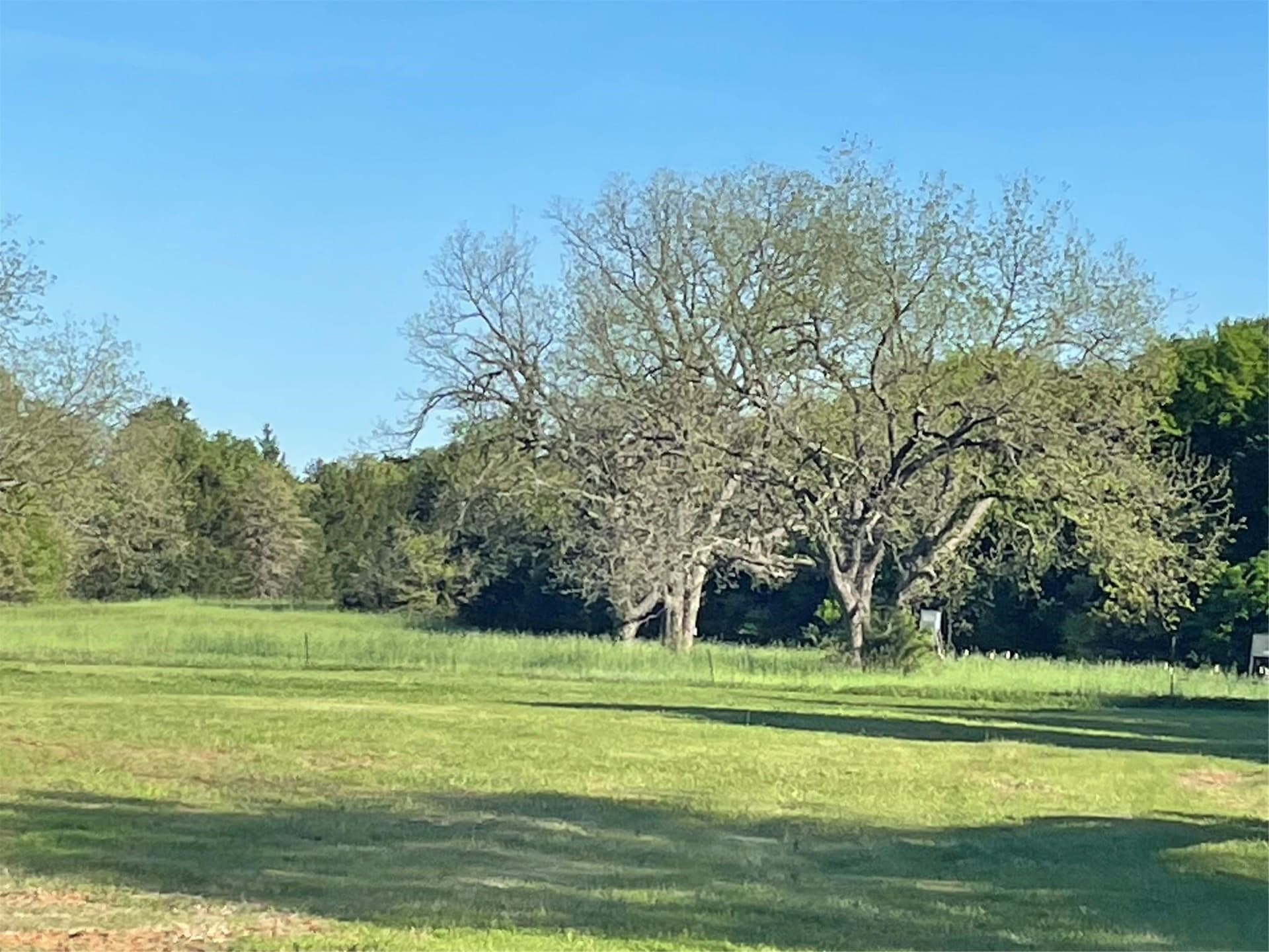 76.55 acres in Cooke County - photo 21