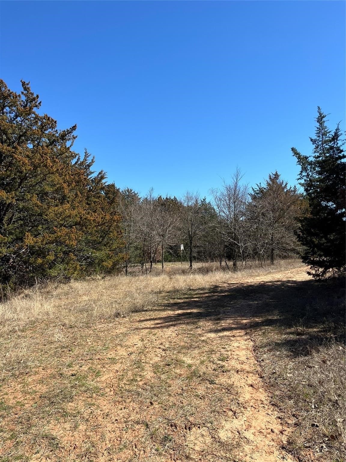 76.55 acres in Cooke County - photo 14