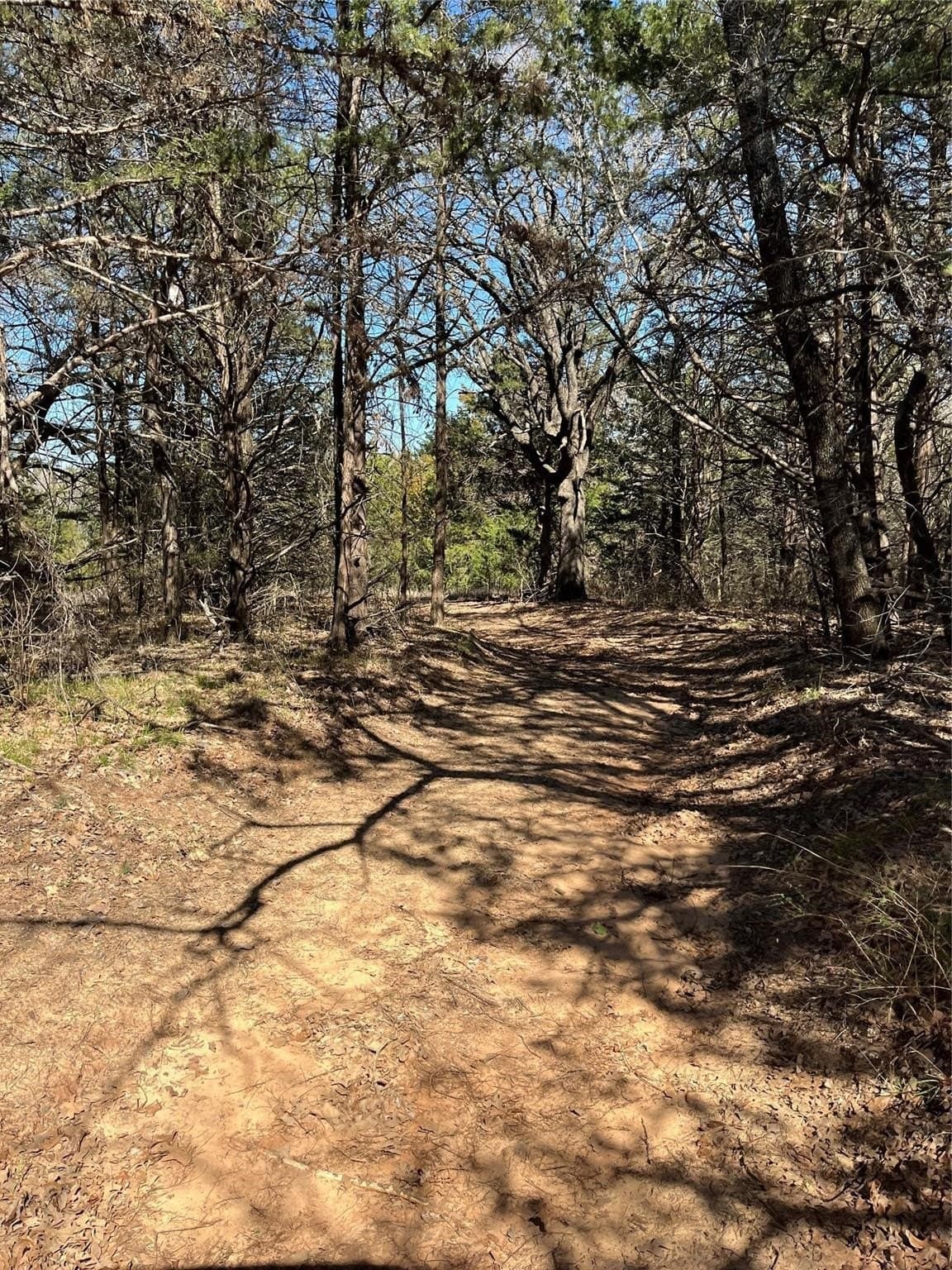 76.55 acres in Cooke County - photo 12