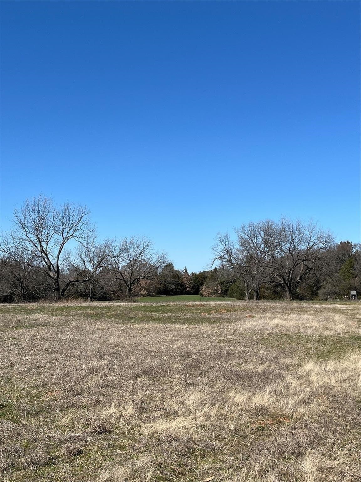 76.55 acres in Cooke County - photo 18