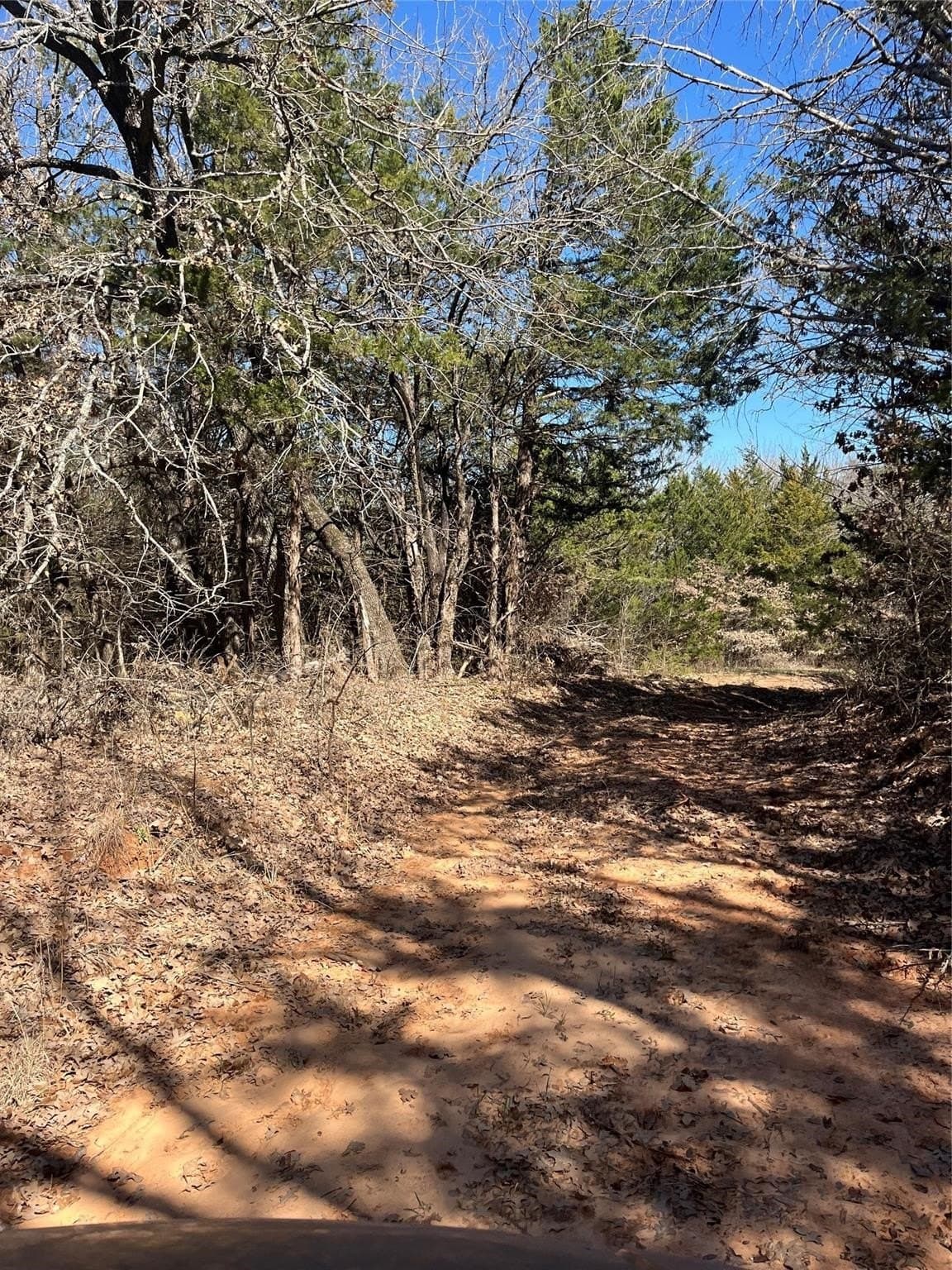 76.55 acres in Cooke County - photo 9