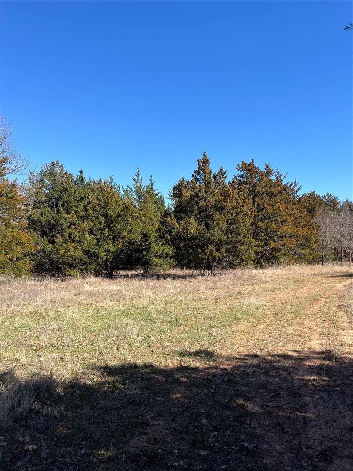 76.55 acres in Cooke County - photo 15